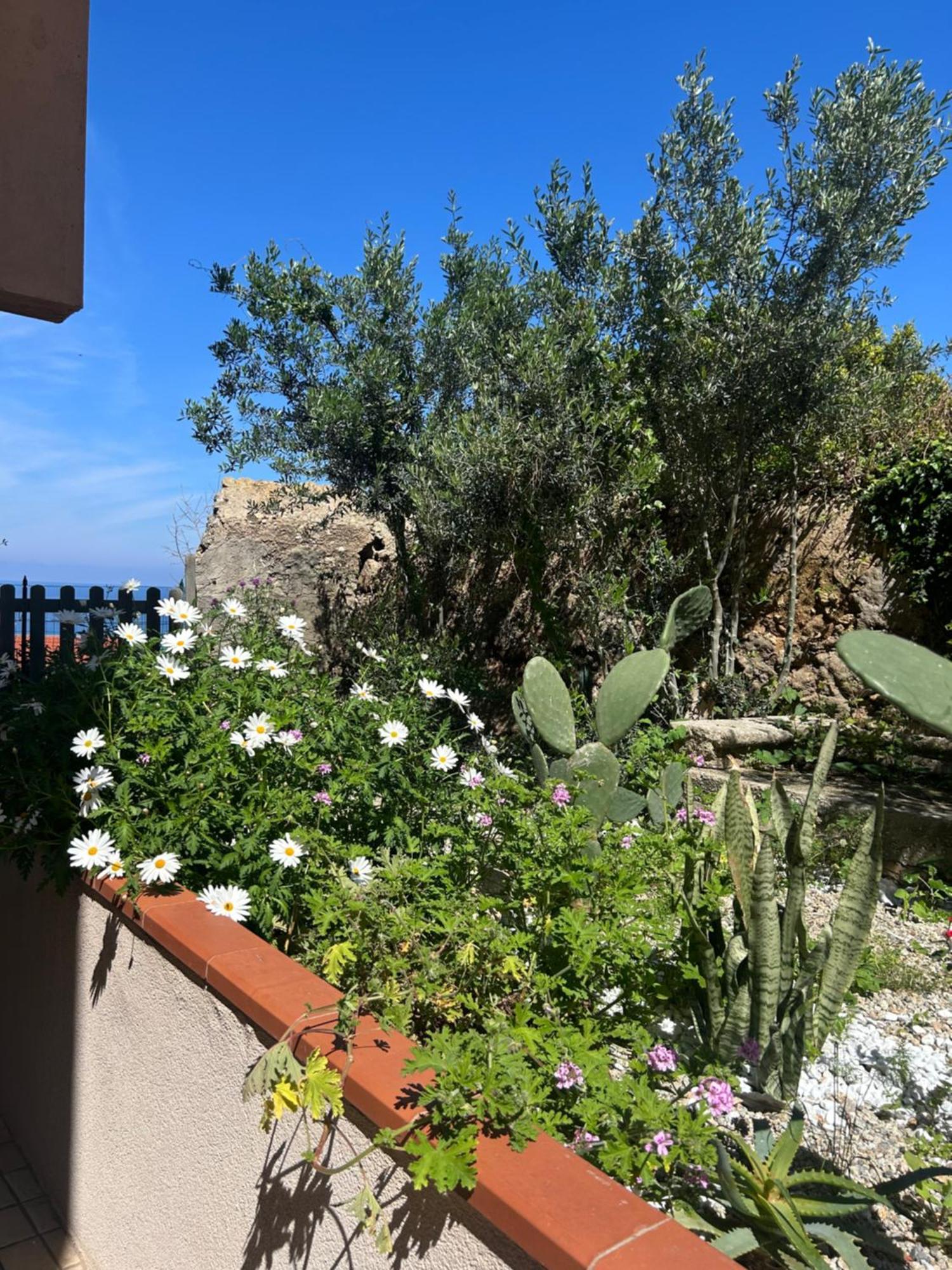 Bed and Breakfast Arcobaleno Tropea Centro Exterior foto